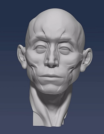 [高分]求一个玛雅或者zbrush或者3dmax的人头面部肌肉模型,学画用!