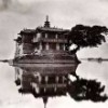 不知道是什么