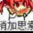 染指wiel