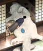 长街怀情驻足S