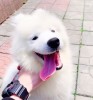 改图不加班