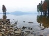 香卤鹌鹑蛋