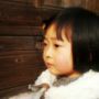 sunfly