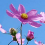 热爱生活