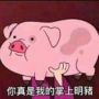 胡椒疯