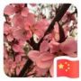 经常溜溜