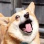 me丶 tengda 😮