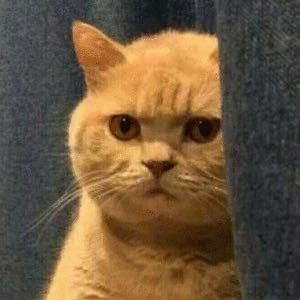 十三