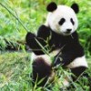 效果图制作