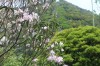 默默无言