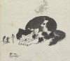 设计师的猫