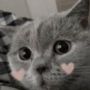 viny