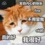 猫语