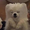 小乐乐