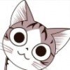 猫家族