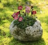 小米设计