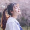 南城旧梦