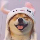 不解风情