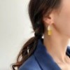 绿萝和猫