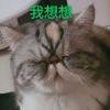 十三逍遥又自在