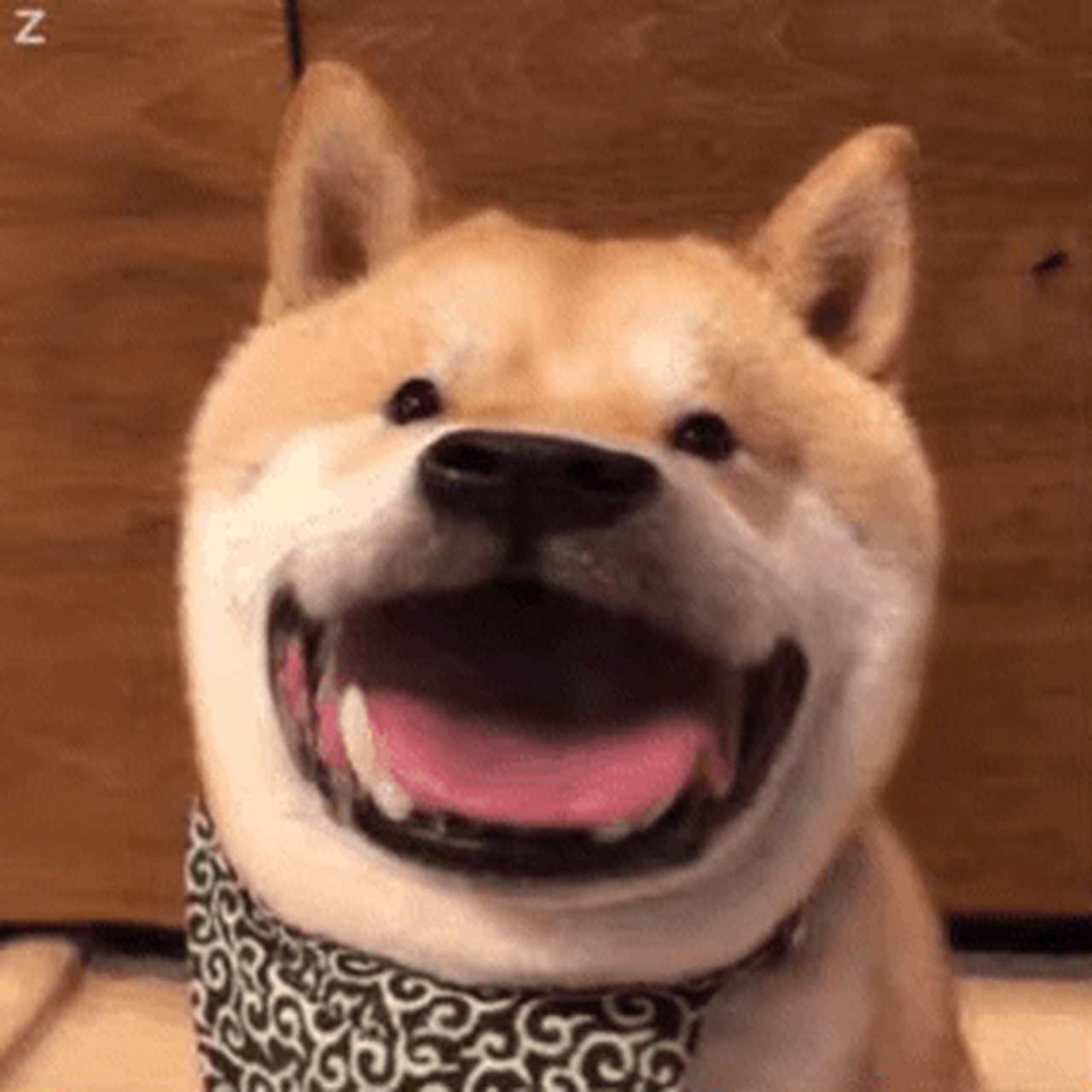 拾贰