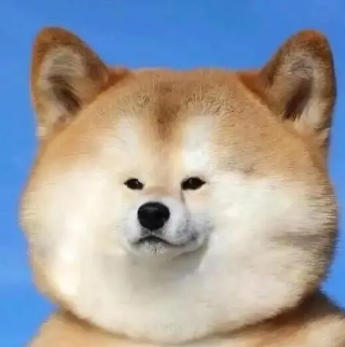 陈先生
