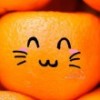 橙橙cc
