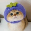 猴子请来的水军