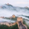 龙的传人