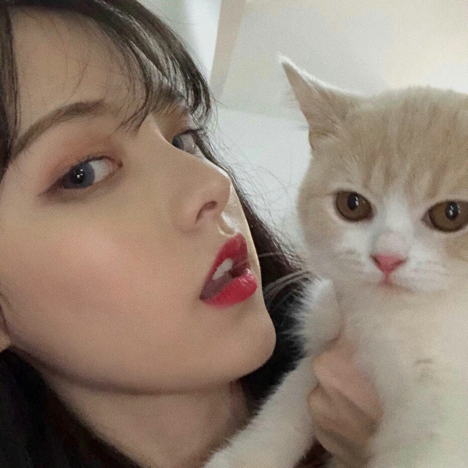 爱猫少女朵朵
