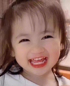 吃兔子868786