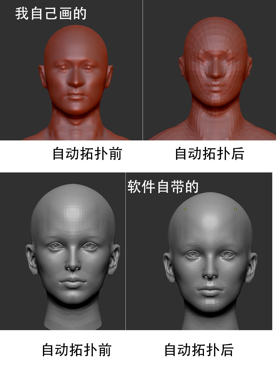 ZBrush2018中自动拓扑问题
