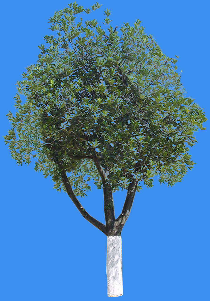 【5人回答】背景和素材在一个图层里,怎么用ps去掉背景,比如一张图片