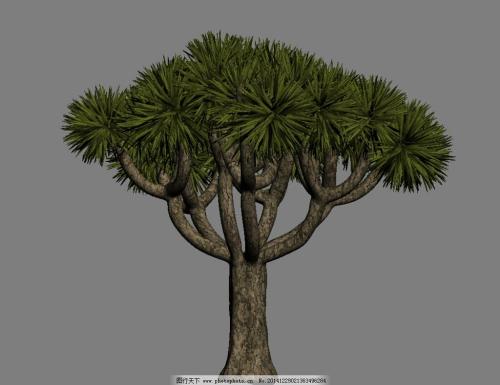 3D Max中的植物是怎么建模的？