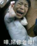 用Photoshop软件怎么把一个人的头像p到猪的身上？要详细的步骤！谢谢？