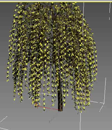 3Ds Max 画植物怎么成这样了。看不到树叶？