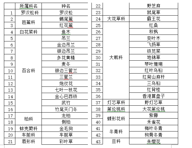 Word表格分栏后边框线部分不见。