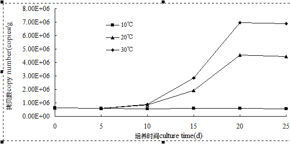 如何用Excel作图中加标准误？