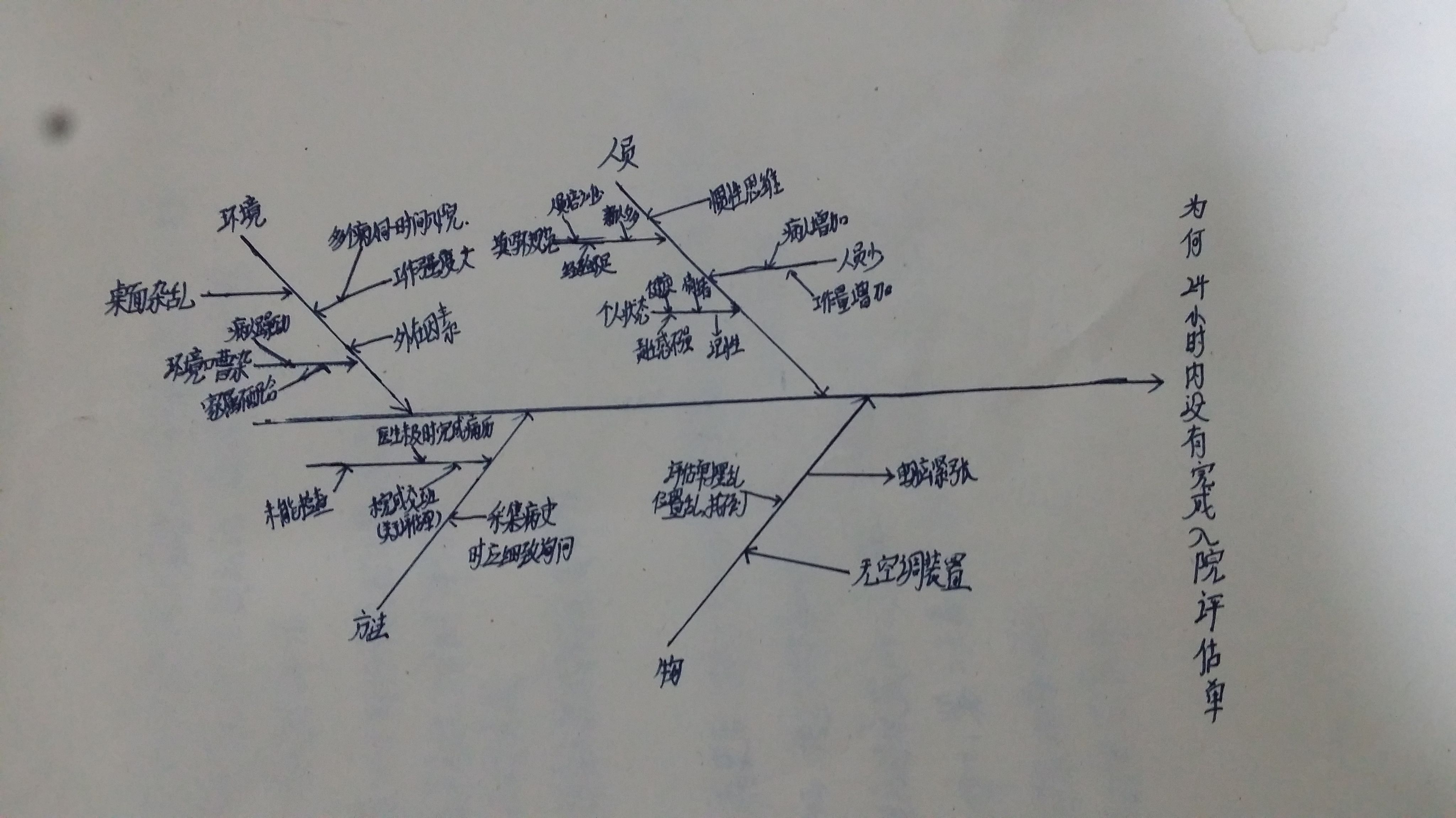 带鱼骨骼图图片