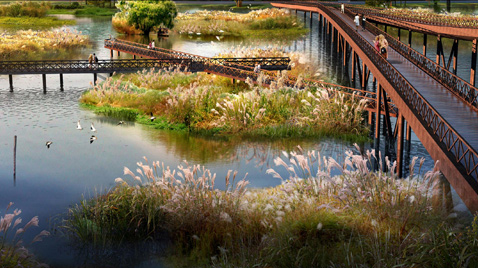 迎龙湖国家湿地公园