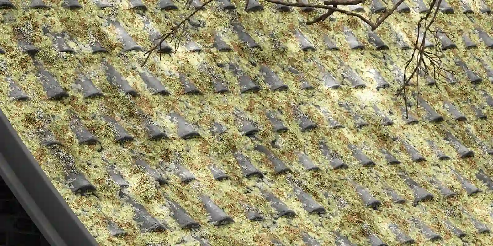 材質(zhì)圖片