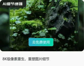 溜溜AI-细节增强