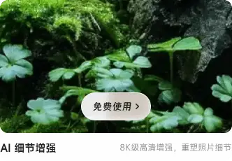 溜溜AI-细节增强