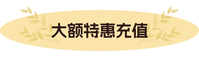 大额特惠充值