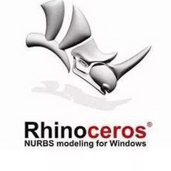 rhino5