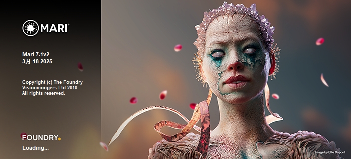 Mari安装教程步骤