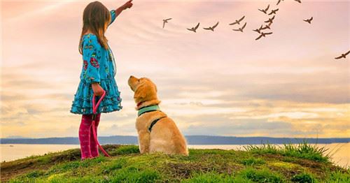 Photoshop Elements 2022 中文绿色开心版下载