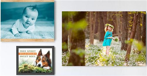 Photoshop Elements 2022 中文绿色开心版下载