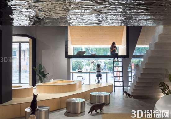营造现代感的猫森林—“就是这样的喵”猫咖设计案例-3d溜溜网