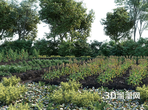 园林植物景观的特点
